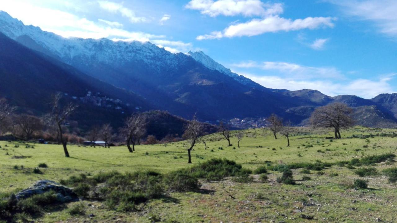 Appartement Raffine A Feliceto 120 M² Avec Vue Sur Montagne 外观 照片